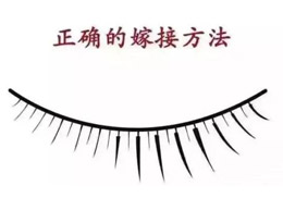 ë޽Ӷڽë޽ѵγ