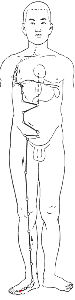 Ƣ